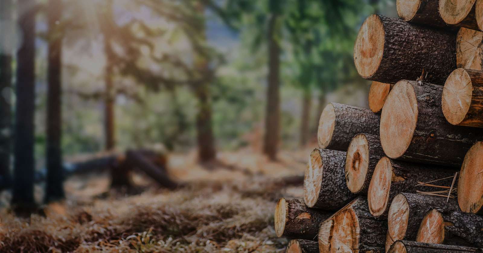 Forestry Services