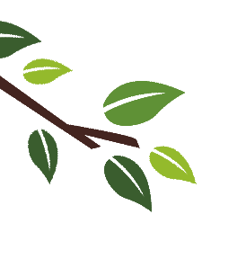 leaf animation1