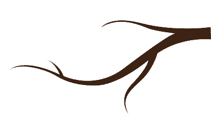 leaf animation2