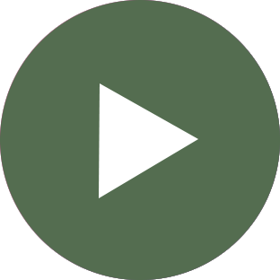 video icon