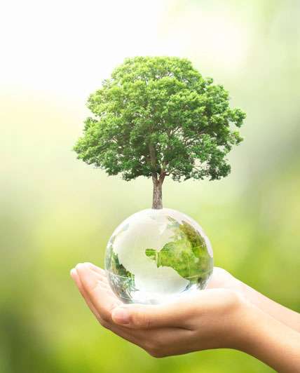 eco1
