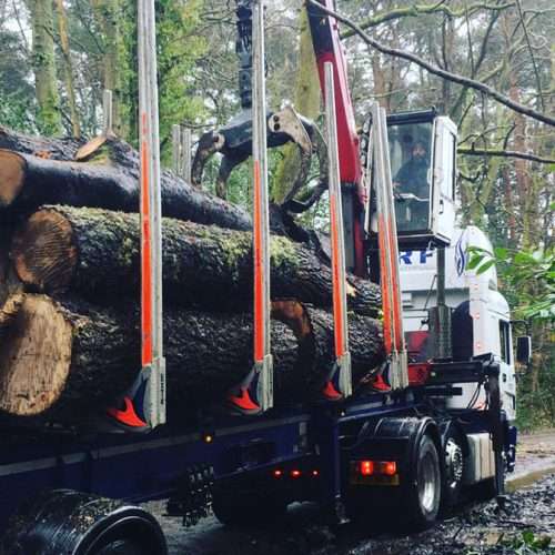 forestry4