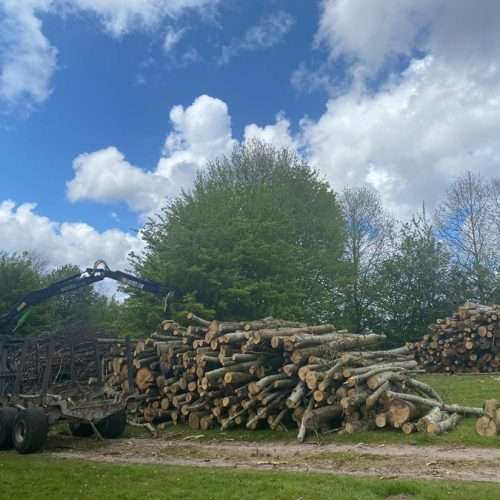 img34