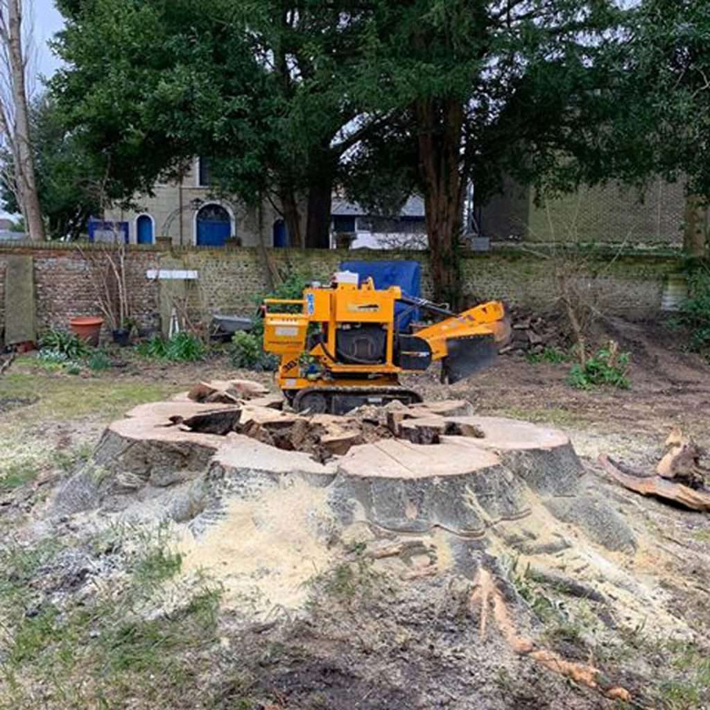 stumpgrinding1