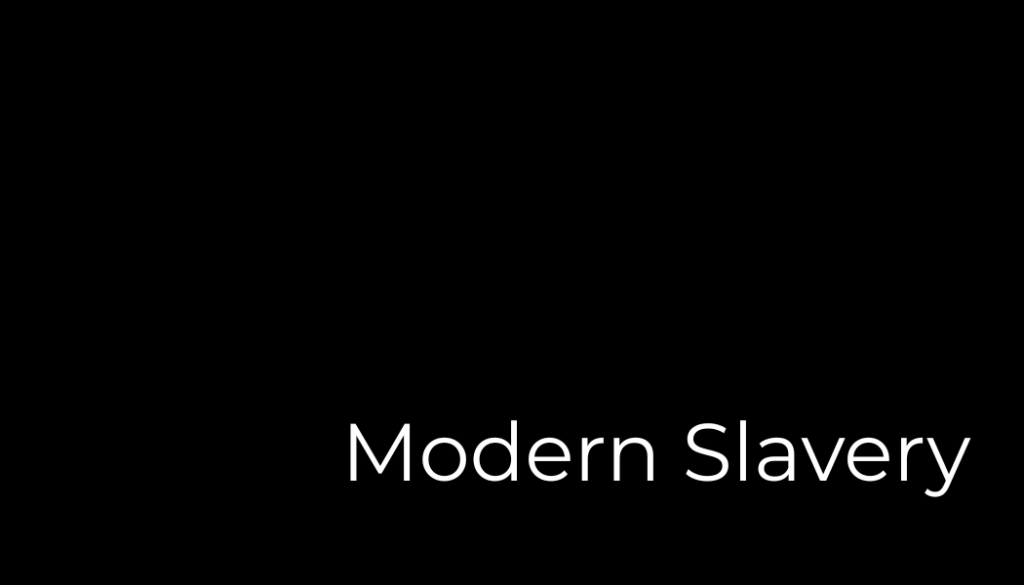 Modern Slavery Button
